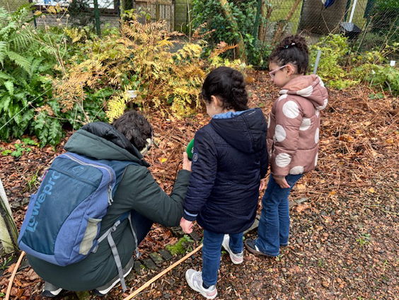 Taalontwikkeling in de natuur