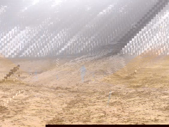 Hoe drugs de natuur om zeep hielp + filmpje