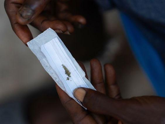 Nederland is een van de belangrijkste leveranciers van synthetische drug kush