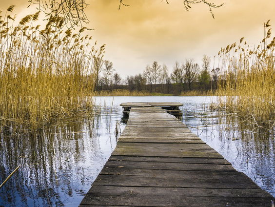 Kettingreactie 19 februari 2025