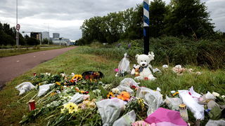 1700 Politiemensen keken zonder goede reden in dossier Lisa