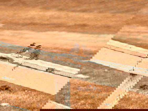 Hoe de politiek van lobbyen werkt en wat jij ervan kunt leren