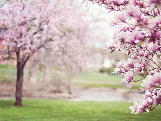 Kettingreactie 2 april 2025