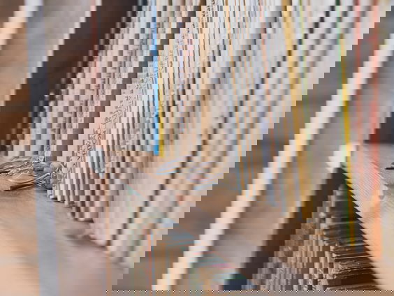 Tosca van Maud Vanhauwaert in de race voor Hebban-prijs