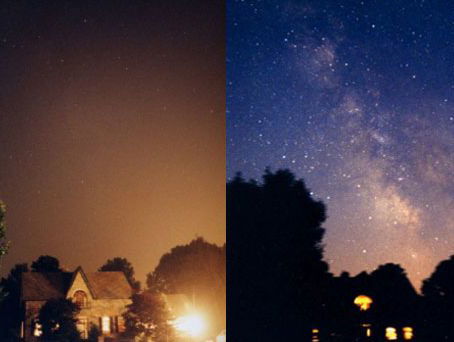 We vervuilen ons land met kunstmatig licht. Wat is het effect op de natuur?