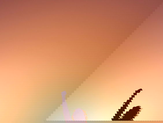 Er zijn nog steeds weinig vrouwen in bestuurlijke functies