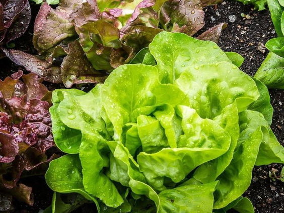 Megaclaim tegen Nederlandse staat over PFAS