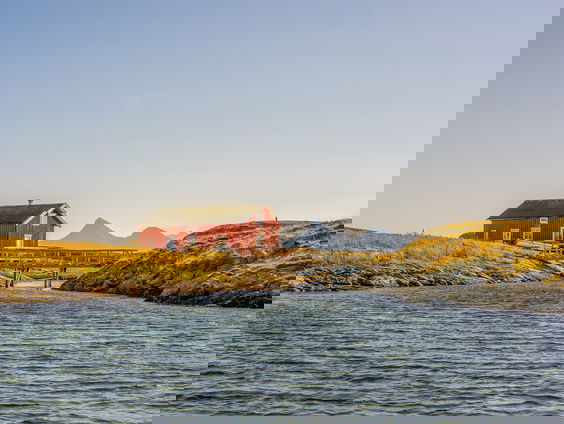 Kettingreactie 7 augustus 2024