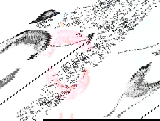 Wat betekent narcisme voor onze kinderen? Lotje Steins Bisschop schreef er het kinderboek 'Knap' over