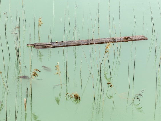 Kunst in ziekenhuizen heeft helend effect