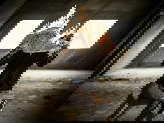 De lokale journalistiek onder de loep in De Week van Merel