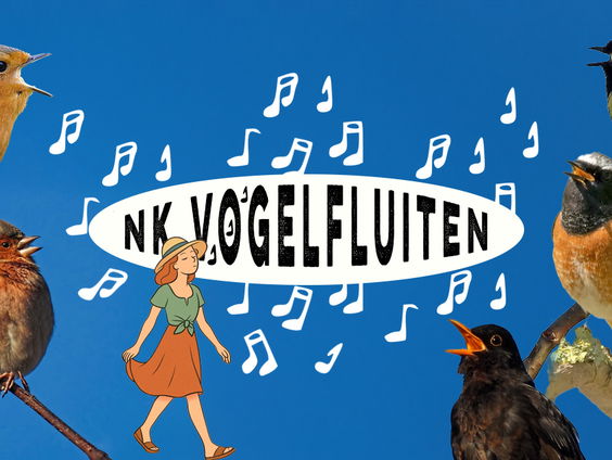 Kan je goed een vogel nadoen? NK Vogelfluiten 2025