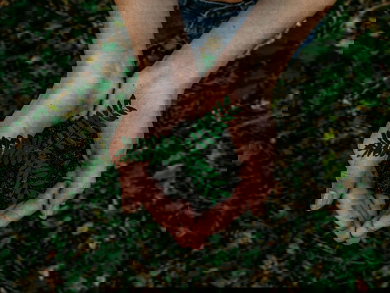 'Economische groei en duurzaam klimaatbeleid gaan prima hand in hand'