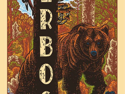 Dore van Duivenbode schreef boek over oerbossen in Oost-Europa