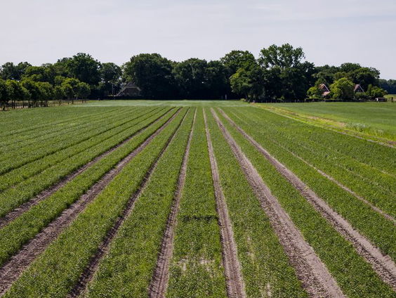 Brandbrief artsen, wetenschappers en milieuorganisaties over plan versoepeling gebruik pesticiden