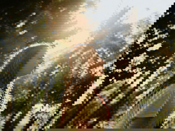 Wat betekent het om 'afantasie' te hebben?