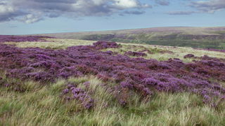 Lekkere Track: Heen en terug