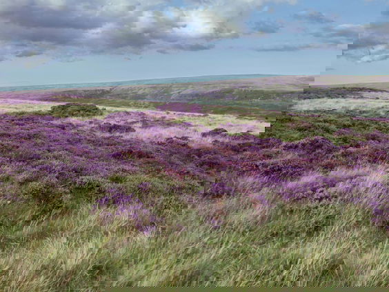 Lekkere Track: Heen en terug