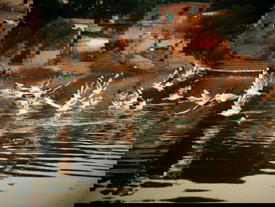 RadioReisDienst: Dromen van India