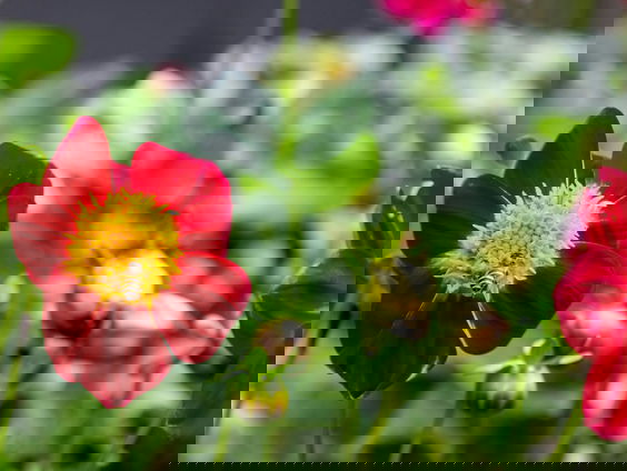 Lekkere Track: Een ontroerend einde