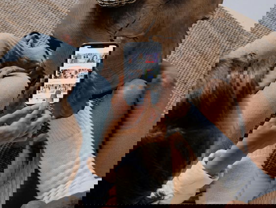 Eeuwenoud verhaal Odyssee gaat viraal op TikTok