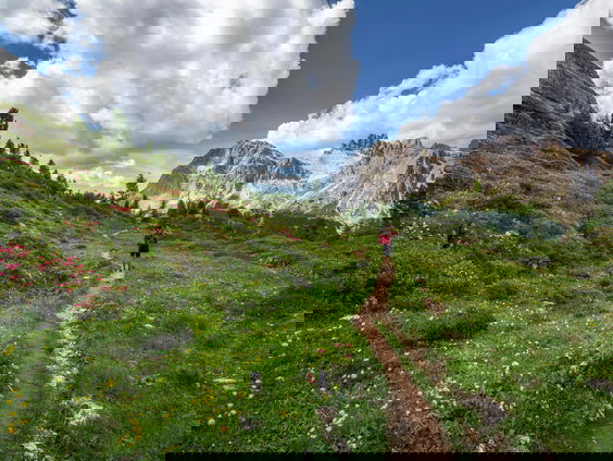 Kettingreactie: 24 juni 2025