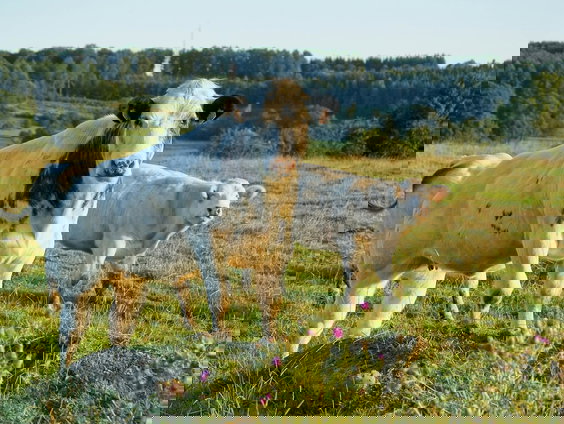 Lekkere Track: Jacques Brel