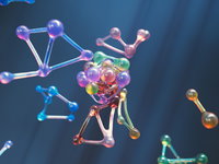 Hermen Overkleeft won de Spinozapremie met het ontwerpen van moleculen