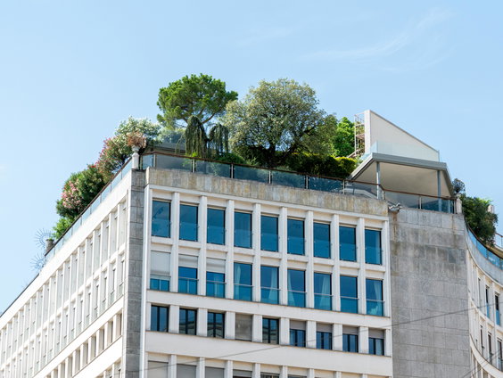 Gemengde geluiden over komst duurzaam gebouw in Rotterdam-Zuid: hoe terecht is de kritiek?