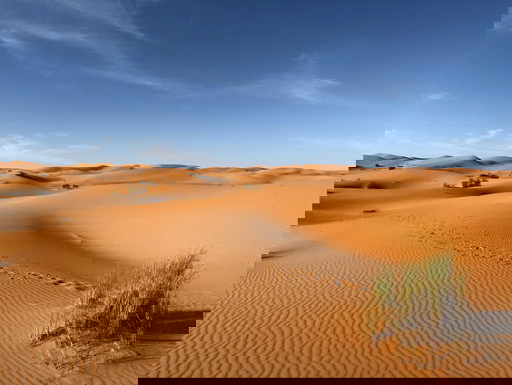 RadioReisdienst: Droom weg, naar waar je maar wil