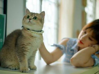 Huisdieren houden: 'Kijk en luister óók naar je katten'