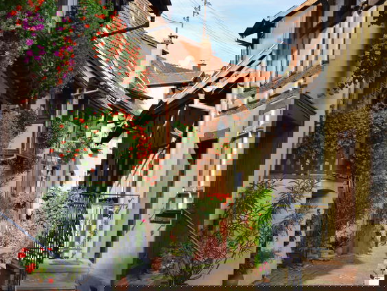 Ivo Niehe - C'est si bon