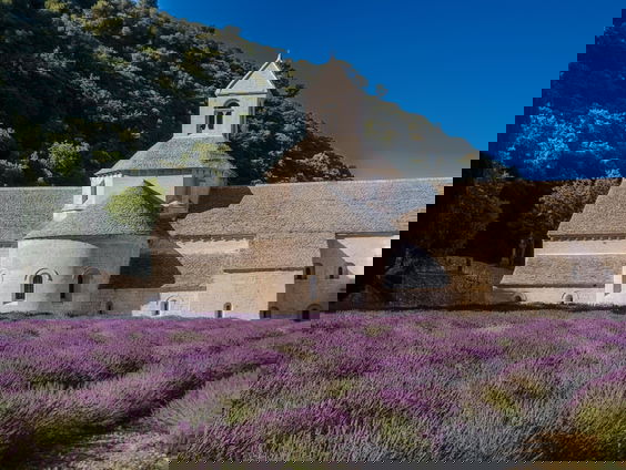 De Flitsdichter - Voermans en Ik