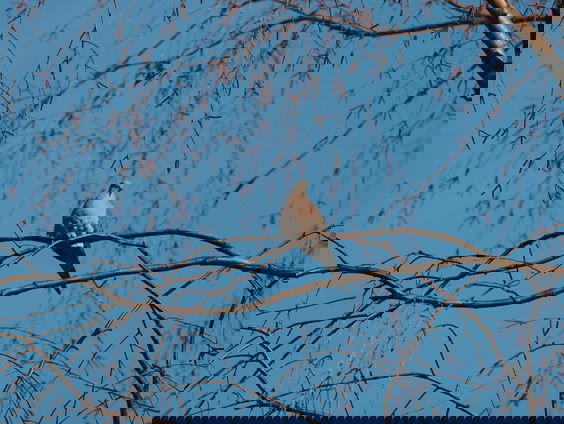 Lekkere Track: Daten in de herrie