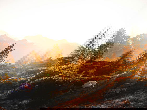 Kettingreactie 30 mei 2025