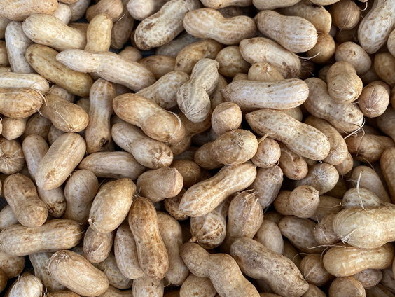 Poeppillen als behandeling tegen pinda-allergie