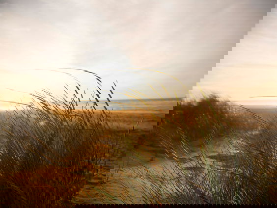 Lekkere track: Kunst in de natuur