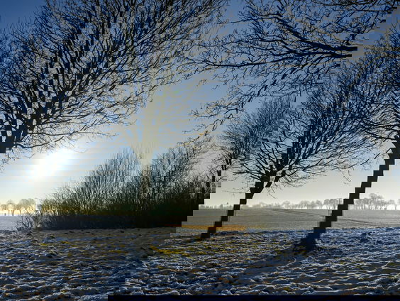 Lekkere track: Hemelse schoonheid