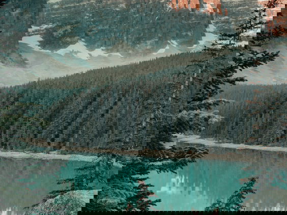 Lekkere Track: Human Nature