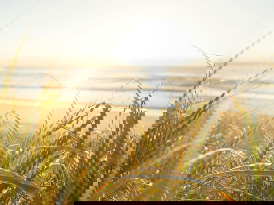 Lekkere Track: De weg terug