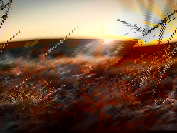 Lekkere Track: Schemeren