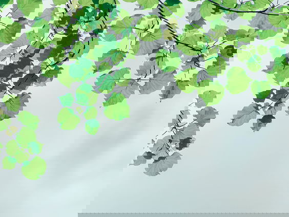 Lekkere Track: De kleine dingen