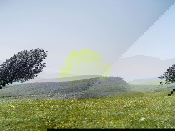 Lekkere Track: Een overvolle harde schijf