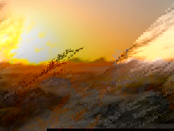 Lekkere Track: Een kapitaal uur