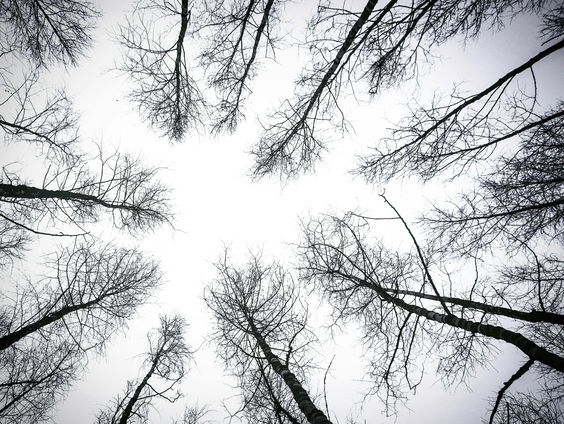 Lekkere Track: Spookachtig mooi