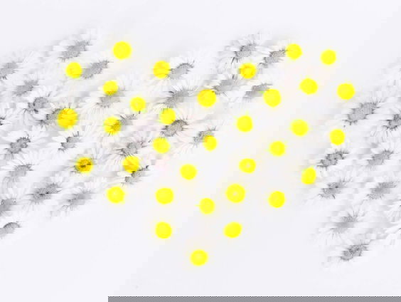 Lekkere Track: Steun in de rug