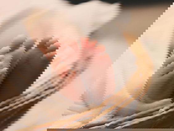 Lekkere Track: Verrassingsoom