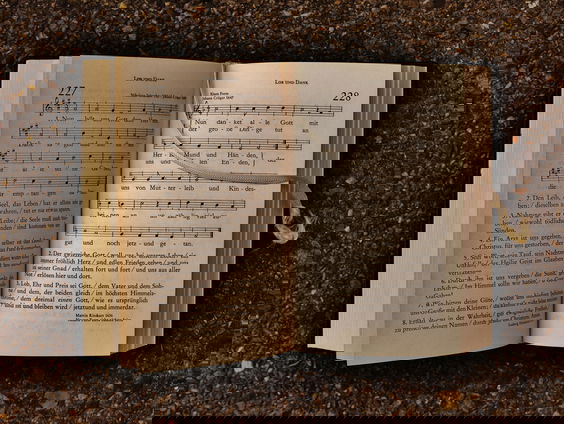 Lekkere Track: Verlangen