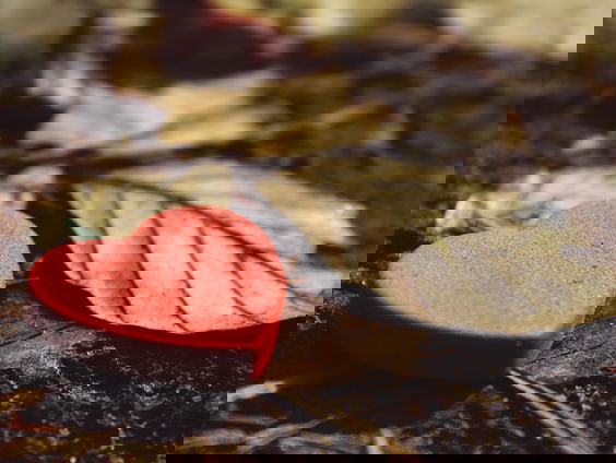 Barbara Hendricks - I let a song go out of my heart