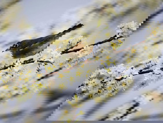 Lekkere Track: Een extra lang weekend!